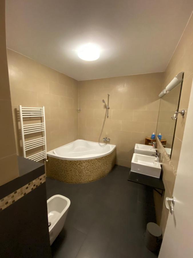 Gaga Residence 3 티미쇼아라 외부 사진